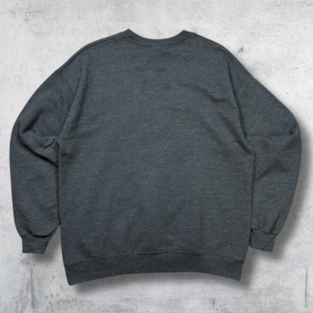 SWEATSHIRT HANES GRIS